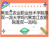 黑龙江农业职业技术学院是双一流大学吗?(黑龙江农职院是双一流吗)
