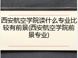 西安航空学院读什么专业比较有前景(西安航空学院前景专业)
