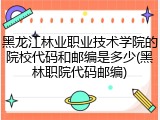 黑龙江林业职业技术学院的院校代码和邮编是多少(黑林职院代码邮编)