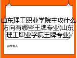山东理工职业学院主攻什么方向有哪些王牌专业(山东理工职业学院王牌专业)