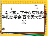 西南民族大学开设有哪些奖学和助学金(西南民大奖学金)