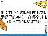 湖南有色金属职业技术学院是哪里的学校，在哪个城市(湖南有色职院在哪)