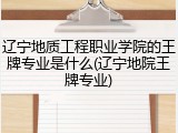 辽宁地质工程职业学院的王牌专业是什么(辽宁地院王牌专业)