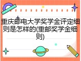 重庆邮电大学奖学金评定细则是怎样的(重邮奖学金细则)
