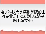 电子科技大学成都学院的王牌专业是什么(成电成都学院王牌专业)