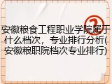 安徽粮食工程职业学院属于什么档次，专业排行分析(安徽粮职院档次专业排行)
