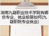 湖南九嶷职业技术学院有哪些专业，就业前景如何(九嶷职院专业就业)
