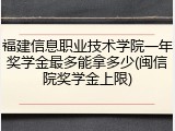 福建信息职业技术学院一年奖学金最多能拿多少(闽信院奖学金上限)