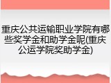 重庆公共运输职业学院有哪些奖学金和助学金呢(重庆公运学院奖助学金)