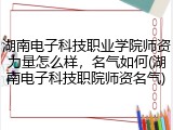 湖南电子科技职业学院师资力量怎么样，名气如何(湖南电子科技职院师资名气)