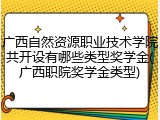 广西自然资源职业技术学院共开设有哪些类型奖学金(广西职院奖学金类型)