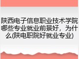 陕西电子信息职业技术学院哪些专业就业前景好，为什么(陕电职院好就业专业)
