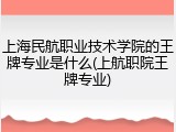 上海民航职业技术学院的王牌专业是什么(上航职院王牌专业)