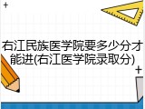 右江民族医学院要多少分才能进(右江医学院录取分)