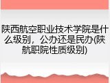 陕西航空职业技术学院是什么级别，公办还是民办(陕航职院性质级别)