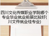 四川文化传媒职业学院哪个专业毕业就业前景比较好(川文传就业佳专业)
