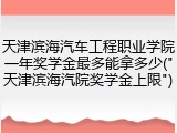天津滨海汽车工程职业学院一年奖学金最多能拿多少("天津滨海汽院奖学金上限")