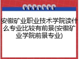 安徽矿业职业技术学院读什么专业比较有前景(安徽矿业学院前景专业)