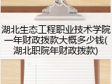 湖北生态工程职业技术学院一年财政拨款大概多少钱(湖北职院年财政拨款)