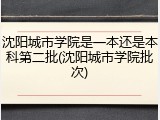 沈阳城市学院是一本还是本科第二批(沈阳城市学院批次)