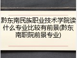 黔东南民族职业技术学院读什么专业比较有前景(黔东南职院前景专业)