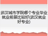 武汉城市学院哪个专业毕业就业前景比较好(武汉就业好专业)