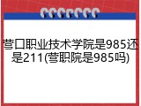 营口职业技术学院是985还是211(营职院是985吗)