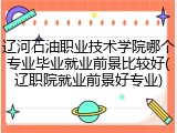 辽河石油职业技术学院哪个专业毕业就业前景比较好(辽职院就业前景好专业)