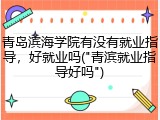青岛滨海学院有没有就业指导，好就业吗("青滨就业指导好吗")