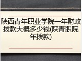 陕西青年职业学院一年财政拨款大概多少钱(陕青职院年拨款)