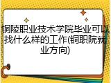铜陵职业技术学院毕业可以找什么样的工作(铜职院就业方向)