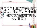 湖南电气职业技术学院的校史简介，什么历史与社会背景下建校的("湖南电气职院校史背景")