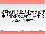 湖南软件职业技术大学的学生毕业都怎么样了(湖南软大毕业生去向)