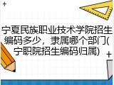 宁夏民族职业技术学院招生编码多少，隶属哪个部门(宁职院招生编码归属)