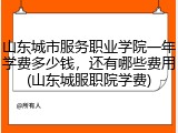 山东城市服务职业学院一年学费多少钱，还有哪些费用(山东城服职院学费)