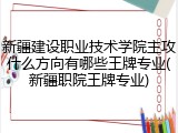 新疆建设职业技术学院主攻什么方向有哪些王牌专业(新疆职院王牌专业)