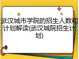 武汉城市学院的招生人数和计划解读(武汉城院招生计划)