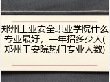 郑州工业安全职业学院什么专业最好，一年招多少人(郑州工安院热门专业人数)