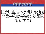 长沙职业技术学院开设有哪些奖学和助学金(长沙职院奖助学金)