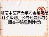 湖南中医药大学湘杏学院是什么级别，公办还是民办(湘杏学院级别性质)