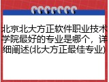 北京北大方正软件职业技术学院最好的专业是哪个，详细阐述(北大方正最佳专业)