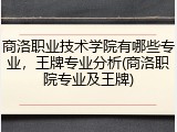 商洛职业技术学院有哪些专业，王牌专业分析(商洛职院专业及王牌)