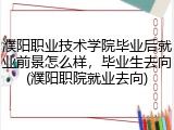 濮阳职业技术学院毕业后就业前景怎么样，毕业生去向(濮阳职院就业去向)