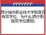 西宁城市职业技术学院是否有双学位，为什么(西宁职院双学位原因)
