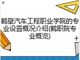 鹤壁汽车工程职业学院的专业设置概况介绍(鹤职院专业概览)