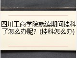 四川工商学院就读期间挂科了怎么办呢？(挂科怎么办)