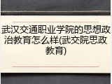 武汉交通职业学院的思想政治教育怎么样(武交院思政教育)