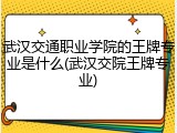 武汉交通职业学院的王牌专业是什么(武汉交院王牌专业)