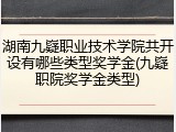 湖南九嶷职业技术学院共开设有哪些类型奖学金(九嶷职院奖学金类型)