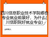 四川信息职业技术学院哪些专业就业前景好，为什么(川信职院好就业专业)